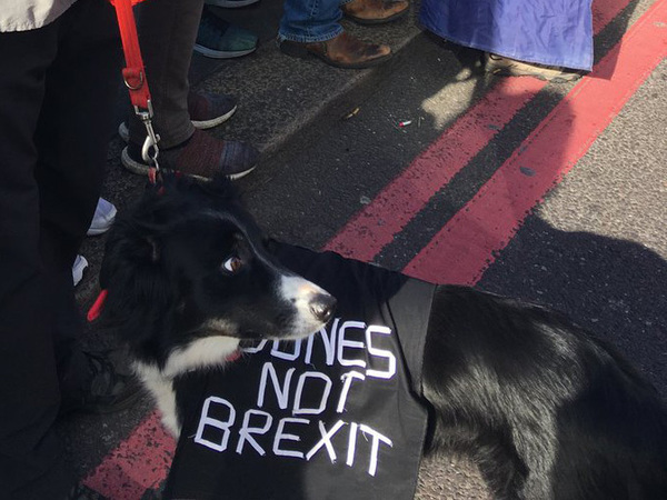 У Лондоні тисячі людей вимагають провести другий референдум щодо Brexit